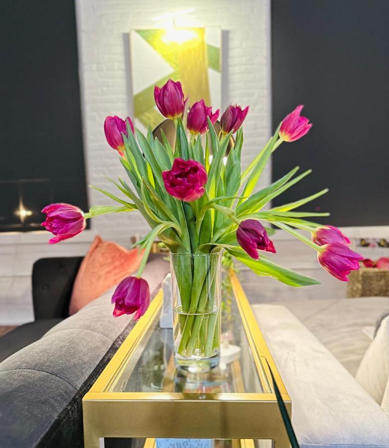2Br 2Br Le Chateau 505 Lux Penthouse In A Historic Building 유티카 외부 사진